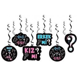 Cinsiyet Belirleme Partisi Tavan Süs Seti 6'lı - Partici