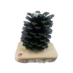 Kozalak Biblo Mum - Partici