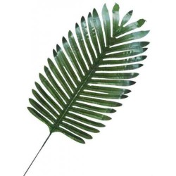 Yapay Palmiye Yaprağı 35cm 5'li - Thumbnail